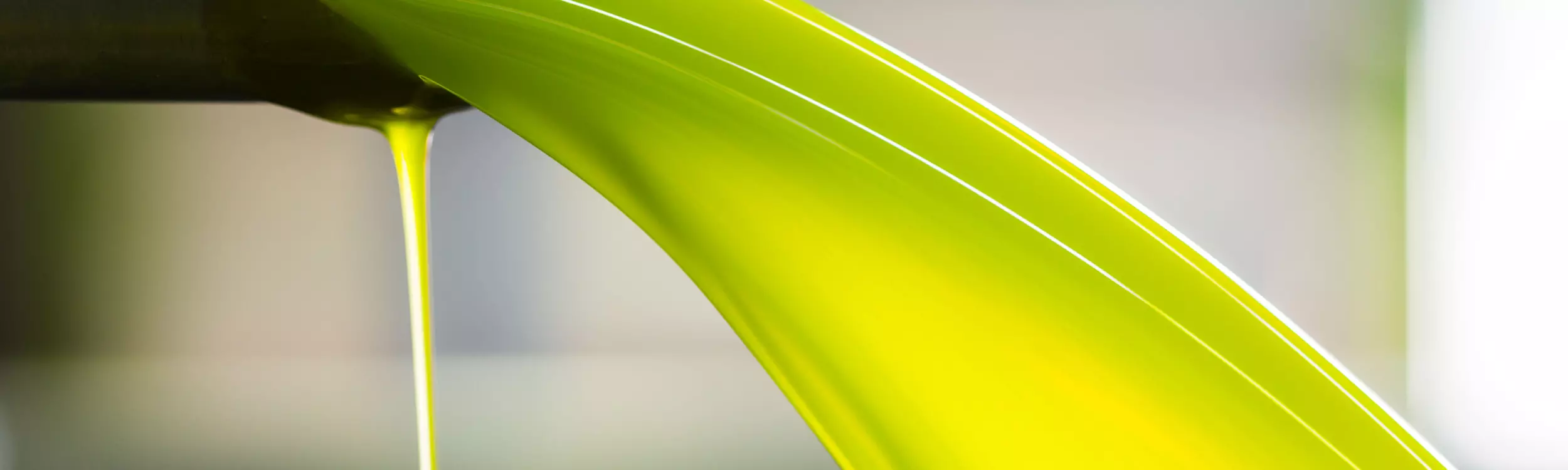 Olive oil blog